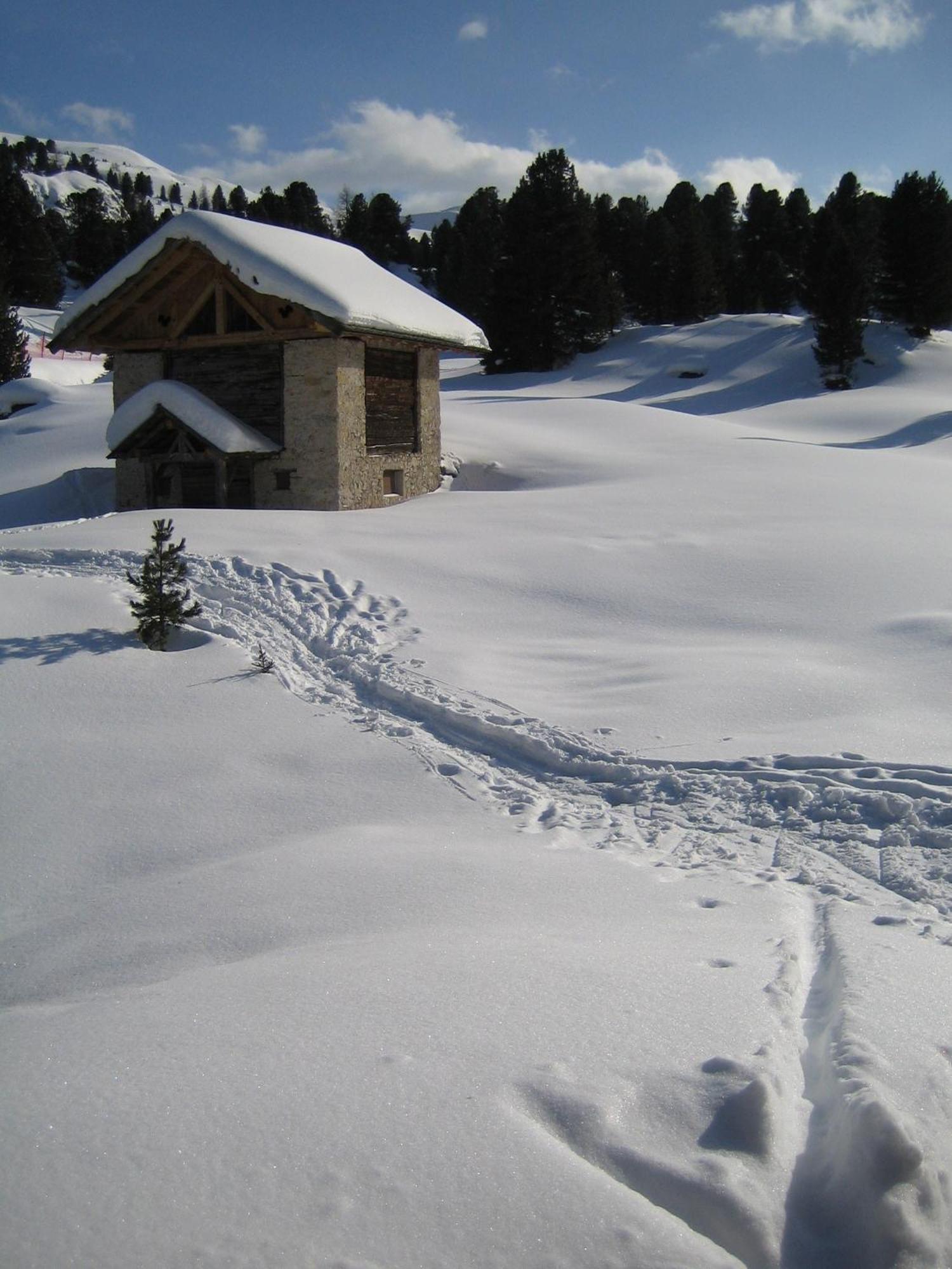 Chalet Elisabeth Dolomites Alpin & Charme Hotel Sëlva Buitenkant foto