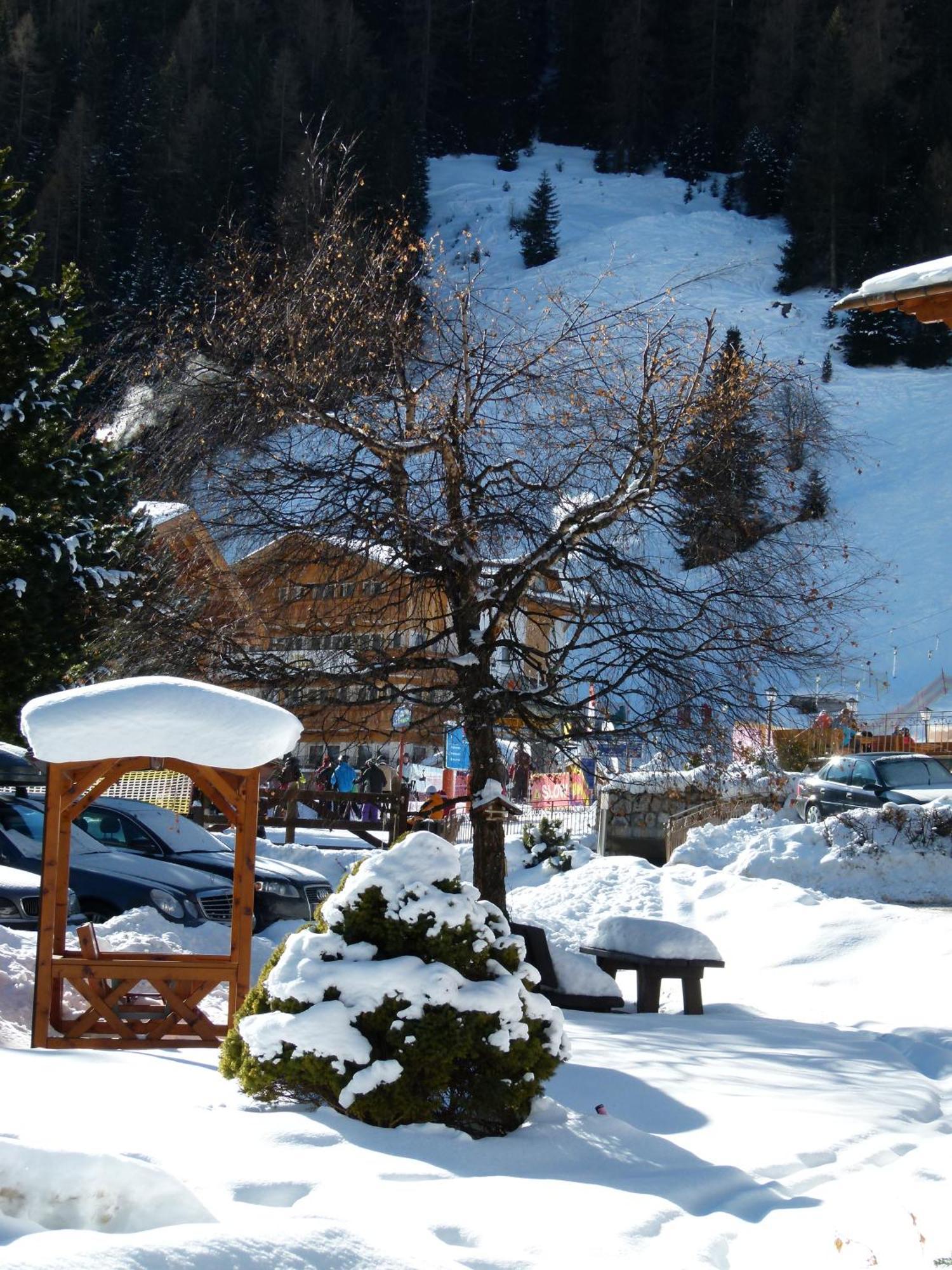 Chalet Elisabeth Dolomites Alpin & Charme Hotel Sëlva Buitenkant foto